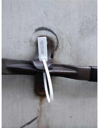 Precinto Fort Double Lock