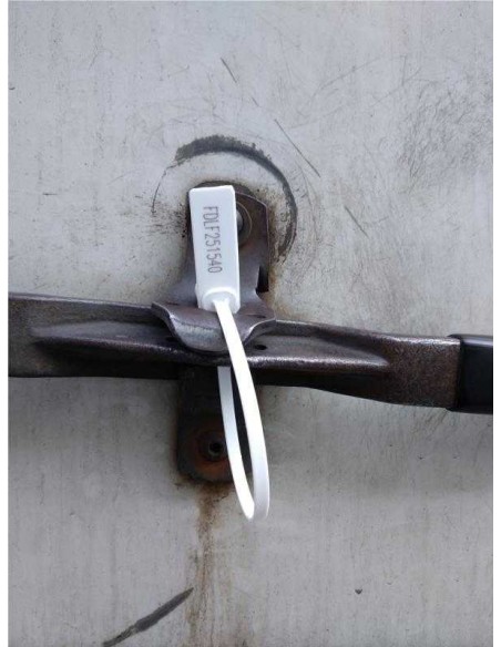 Precinto Fort Double Lock