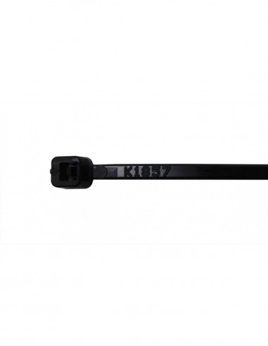 Brida ajustable Negro Ø2.5x200mm