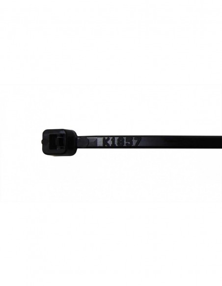 Brida ajustable Negro Ø2.5x200mm